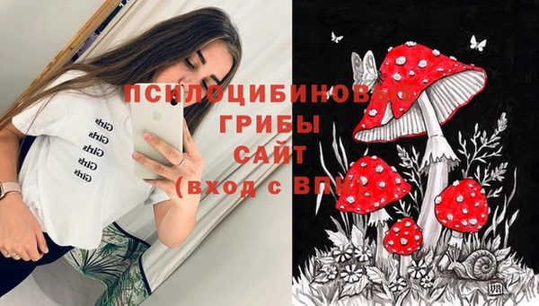 синтетический гашиш Алексин