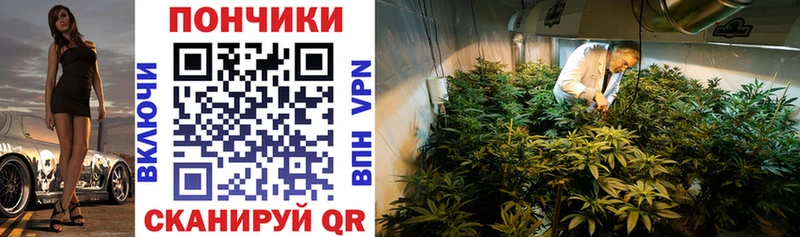 Бошки Шишки ГИДРОПОН  Ковдор 